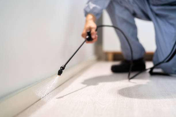 Licensed Termite Control service in Ochiltree County County, TX - Nex Pest Control