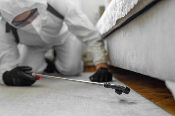 Professional Termite Control technician working in Ochiltree County County, TX